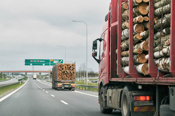 Transporte de resíduos de madeira
