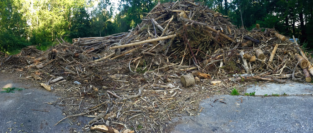 Coleta de resíduos de madeira